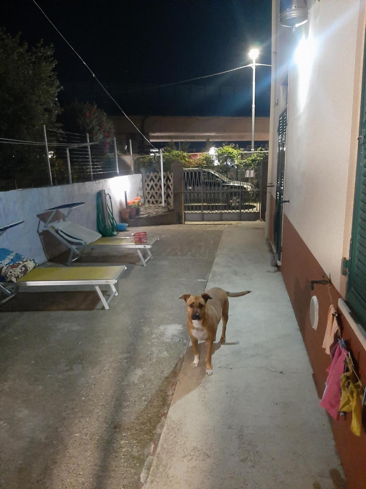 Casa Vacanza Dh La Spezia Buitenkant foto